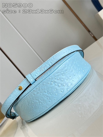L.V Loop Handbag Ostrich leather Blue N85900