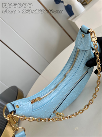 L.V Loop Handbag Ostrich leather Blue N85900