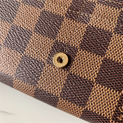 L.V Sarah Wallet Damier Ebene Canvas  N60114