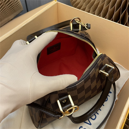 L.V Rivera Bag Damier Ebene Canvas M41436