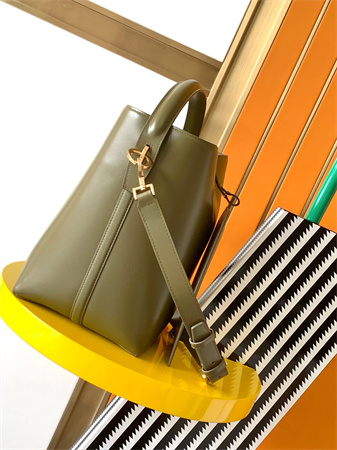 Y.S.L LE 37 In Shiny Leather Green Bucket Bag