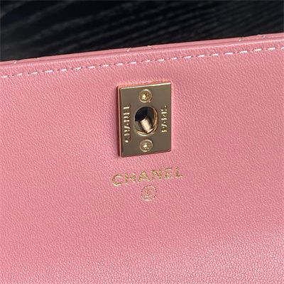 Chanel Clutch with Chain Lambskin, Strass & Gold-Tone Metal Pink AP4293