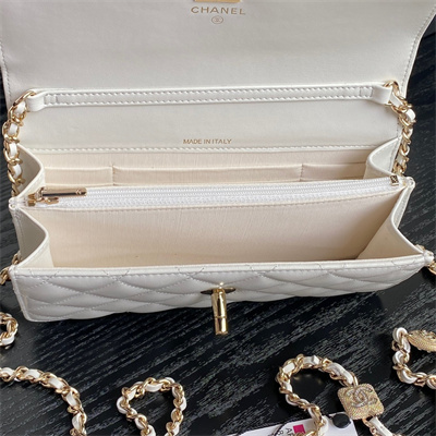 Chanel Clutch with Chain Lambskin, Strass & Gold-Tone Metal White AP4300