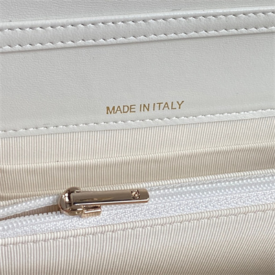 Chanel Clutch with Chain Lambskin, Strass & Gold-Tone Metal White AP4300