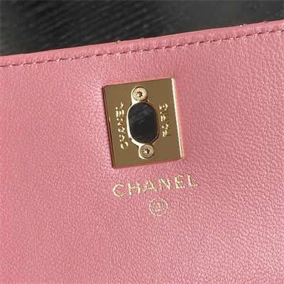 Chanel Clutch with Chain Lambskin, Strass & Gold-Tone Metal Pink AP4300