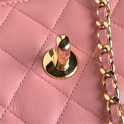 Chanel Clutch with Chain Lambskin, Strass & Gold-Tone Metal Pink AP4300