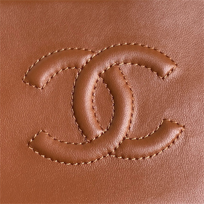 Chanel Flap Bag Shearling Lambskin & Gold-Tone Metal Brown AS5149