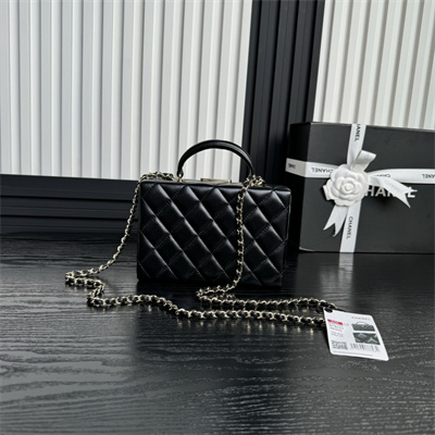 Chanel Small box bag Lambskin & Gold-Tone Metal  Black AS5167