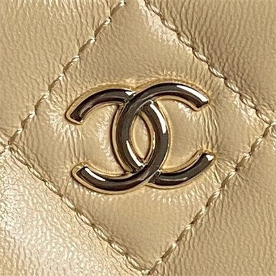 Chanel Small Camera Case Shiny Crumpled Lambskin & Gold-Tone Metal Beige AS5220