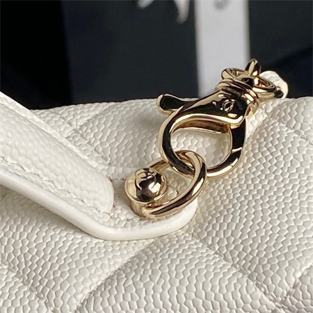 Chanel Long Vanity with chain Grained Calfskin & Gold-Tone Metal White AP4407