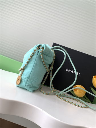Chanel 22 Mini Handbag Canvas and Gold Tone Metal Green AS3980