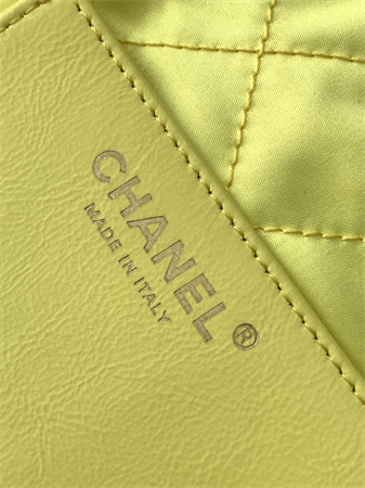 Chanel 22 Mini Handbag Canvas and Gold Tone Metal Yellow AS3980