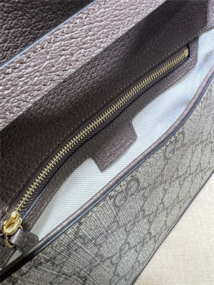 Gu.cci Blondie Shoulder Bag GG Supreme Canvas 699268