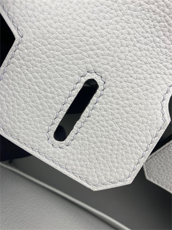 Bir.kin Bag TOGO Leather 25/30/35CM Gold/Silver Hardware In Blue Pale Color HS