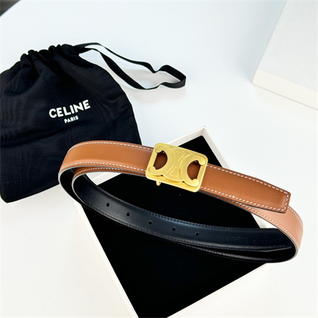 Celine MEDIUM REVERSIBLE FRAMED TRIOMPHE BELT 25MM in TAURILLON AND NATURAL CALFSKIN Brown/Black