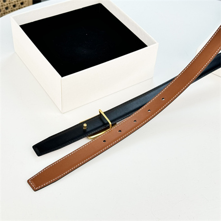 Celine MEDIUM REVERSIBLE FRAMED TRIOMPHE BELT 25MM in TAURILLON AND NATURAL CALFSKIN Brown/Black