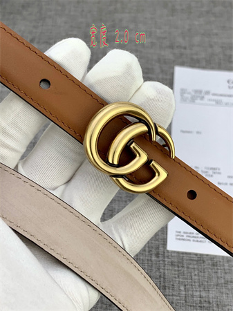 Gucci Belts In Brown Calfskin 20MM Gold Hardware