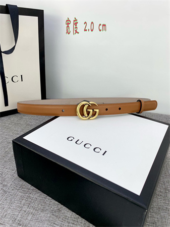 Gucci Belts In Brown Calfskin 20MM Gold Hardware