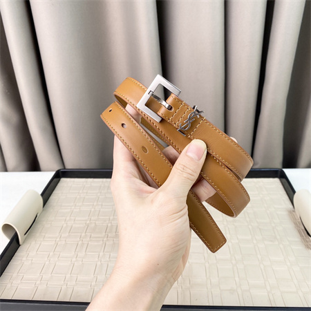 YSL Belts In Leather 20MM Silver Hardware Brown