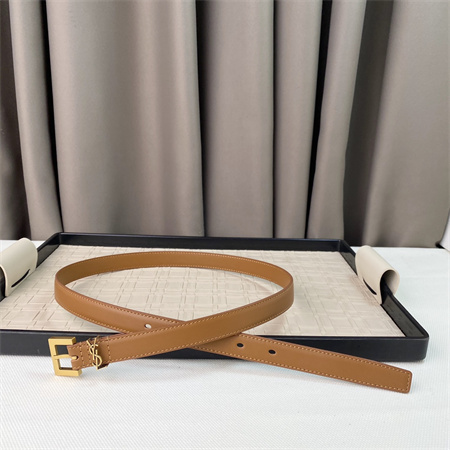 YSL Belts In Leather 20MM Gold Hardware Brown