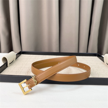YSL Belts In Leather 20MM Gold Hardware Brown
