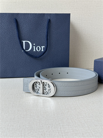 Dior Belts In CD Embossed Calfskin 35MM Grey Color Options