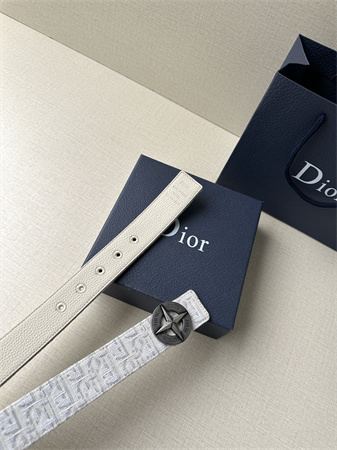 Dior Belts In Beige Jacquard Canvas & Calfskin 35MM Silver Hardware