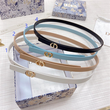 Dior Belts In Calfskin 15MM Gold Hardware Color Options