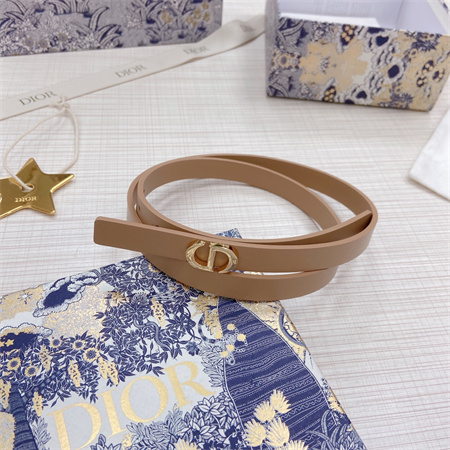 Dior Belts In Calfskin 15MM  Gold Hardware Color Options