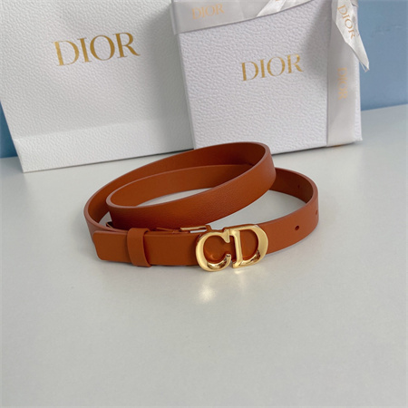Dior Belts In Calfskin 20MM Gold/Silver Hardware Color Options