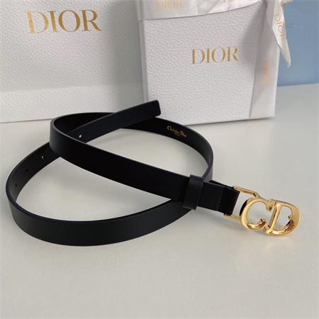 Dior Belts In Calfskin 20MM Gold/Silver Hardware Color Options