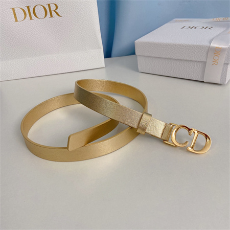 Dior Belts In Calfskin 20MM Gold/Silver Hardware Color Options