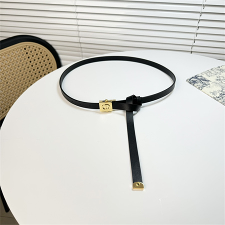 Dior Belts In Calfskin 17MM Gold/Silver Hardware Color Options