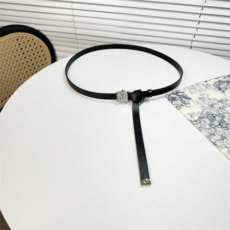 Dior Belts In Calfskin 17MM Gold/Silver Hardware Color Options