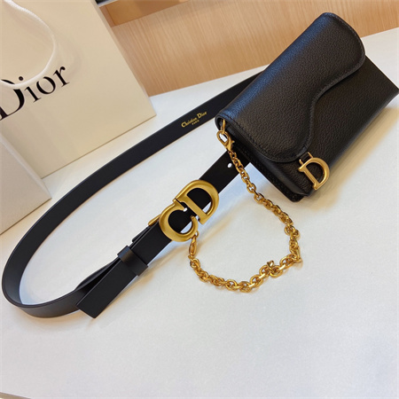 Dior Belt With Bag In Calfskin 20MM Gold Hardware Color Options