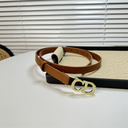 Dior Belts In Calfskin 20MM Gold/Silver Hardware Color Options