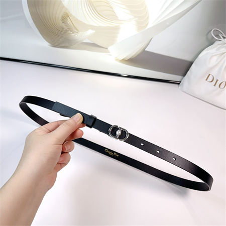 Dior Belts In Calfskin 15MM Gold/Silver Hardware Color Options