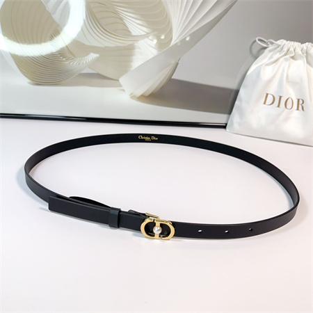 Dior Belts In Calfskin 15MM Gold/Silver Hardware Color Options