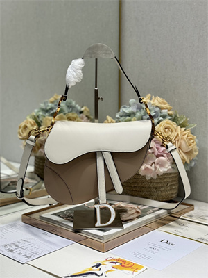CD Saddle Bag Smooth Calfskin Beige/White