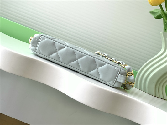 Cha.nel Hobo Handbag Lambskin & Gold-Tone Metal Grey AS5177