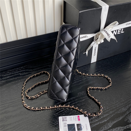 Chanel Vanity with chain Lambskin & Gold-Tone Metal Black AP4412