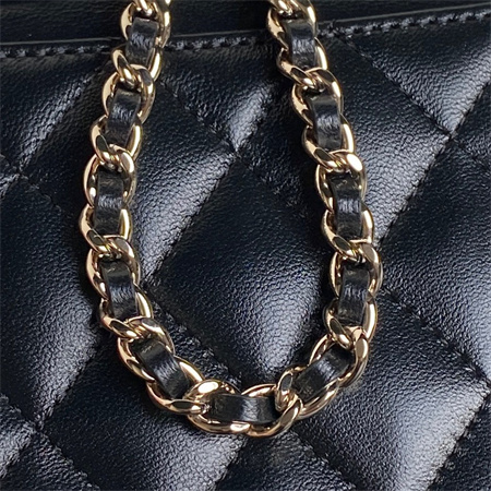 Chanel Vanity with chain Lambskin & Gold-Tone Metal Black AP4412