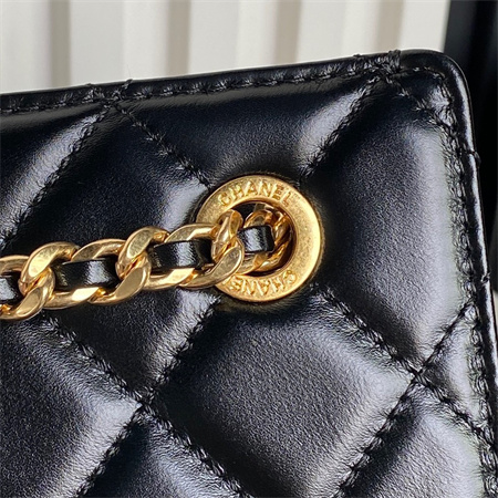 Chanel Clutch Shiny Lambskin & Gold-Tone Metal  Black AS5203