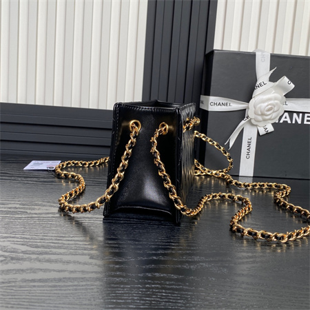 Chanel Clutch Shiny Lambskin & Gold-Tone Metal  Black AS5203