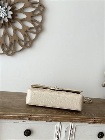 Chanel Medium Classic Flap Bag Iridescent Grained Calfskin Gold Tone Metal Lt Beige 01112