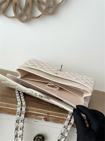 Chanel Medium Classic Flap Bag Iridescent Lambskin Silver Tone Metal Lt Beige 01112