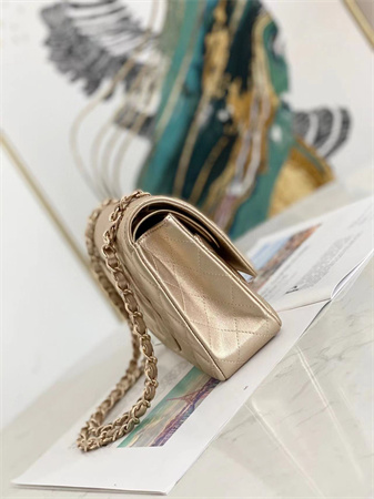 Chanel Medium Classic Flap Bag Iridescent  Lambskin Gold Tone Metal Champagne Gold 01112
