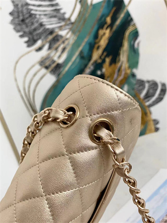 Chanel Medium Classic Flap Bag Iridescent  Lambskin Gold Tone Metal Champagne Gold 01112