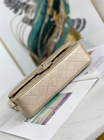 Chanel Medium Classic Flap Bag Iridescent  Lambskin Gold Tone Metal Champagne Gold 01112