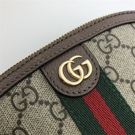Gu.cci Ophidia medium cosmetic case GG Supreme canvas 625550